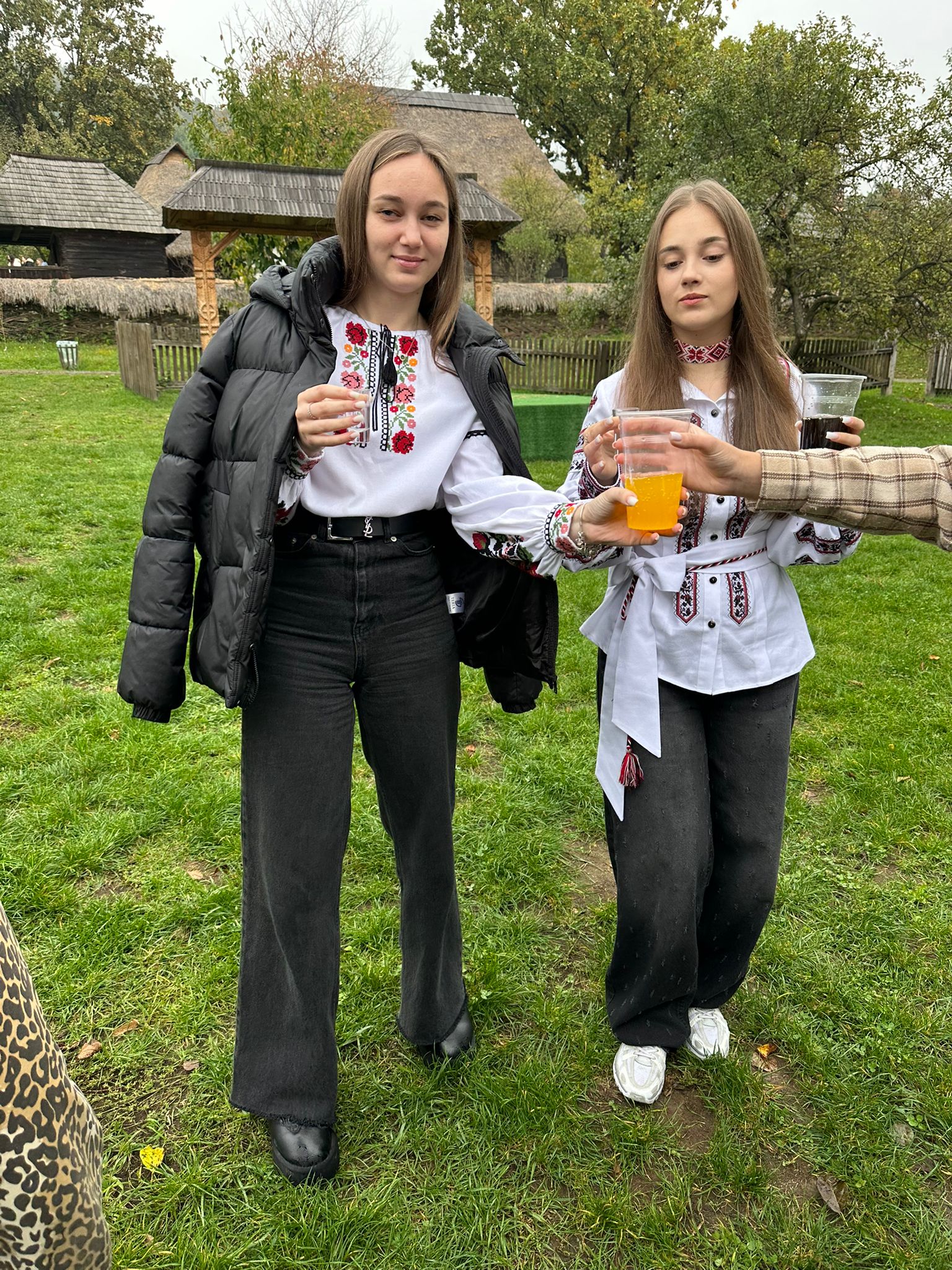 Folk Art Festival — Village Museum (Baia Mare) media